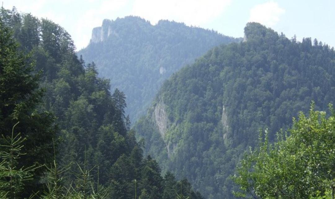 Willa "Komancza" Szczawnica Ruska Bania - Jacuzzi & Sauna Exterior foto